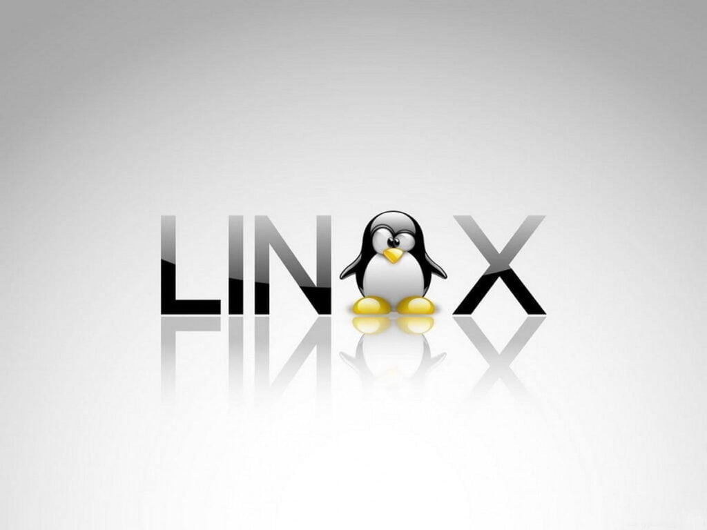 débutants linux distribution