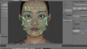 bones faces