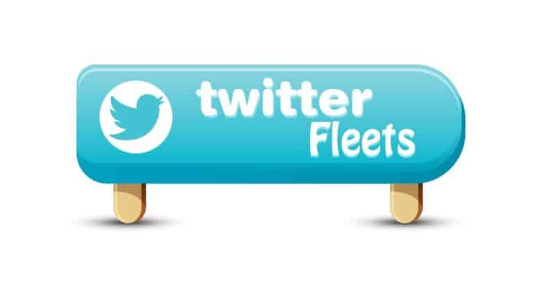 Twitter fleets