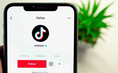 tik tok sans compte