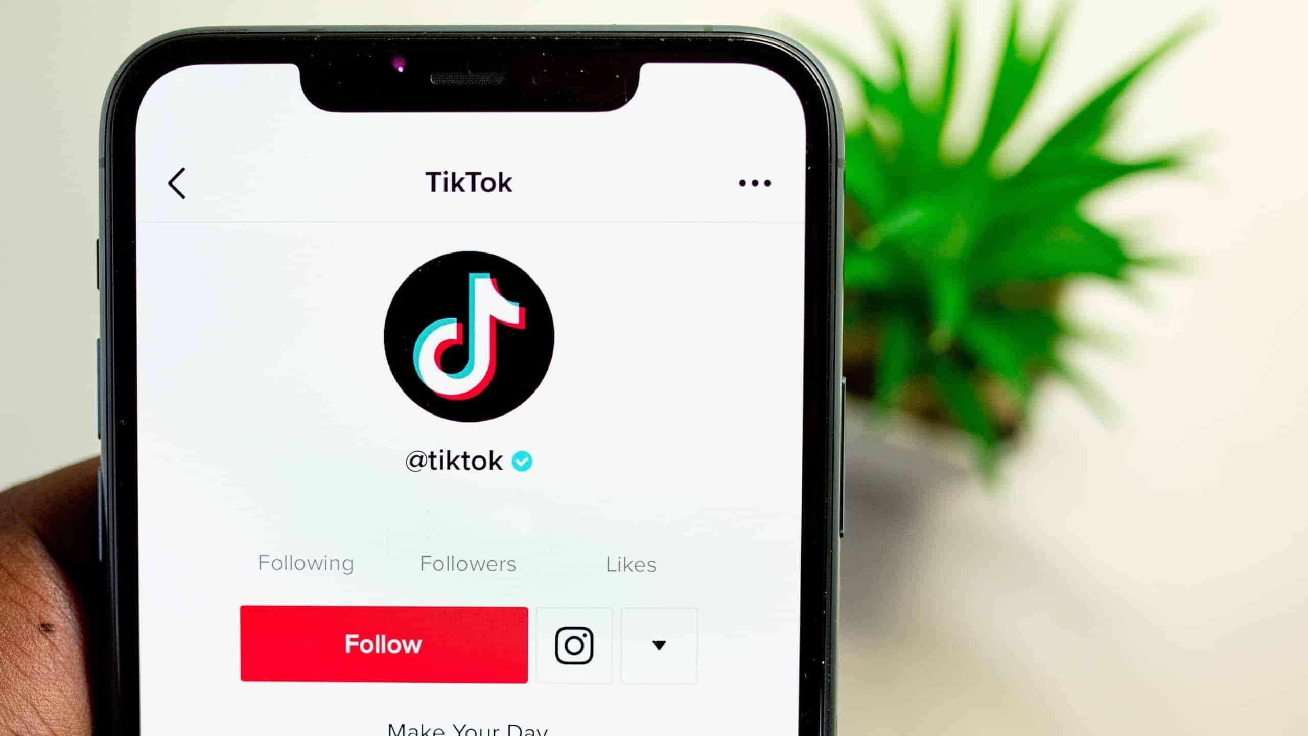 tik tok sans compte