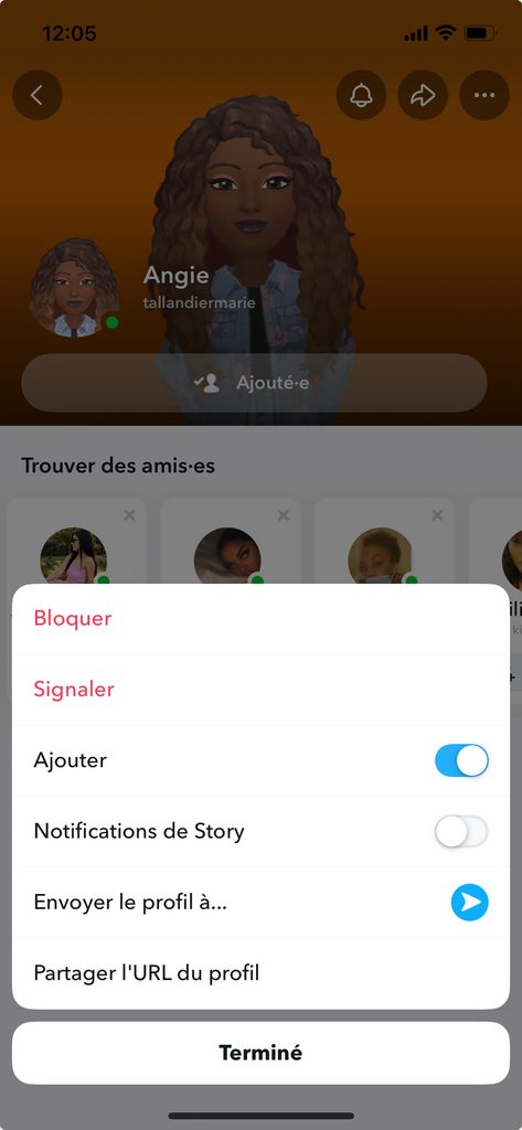 Menu d'un profil Snapchat avec l'option Signaler visible dans la liste