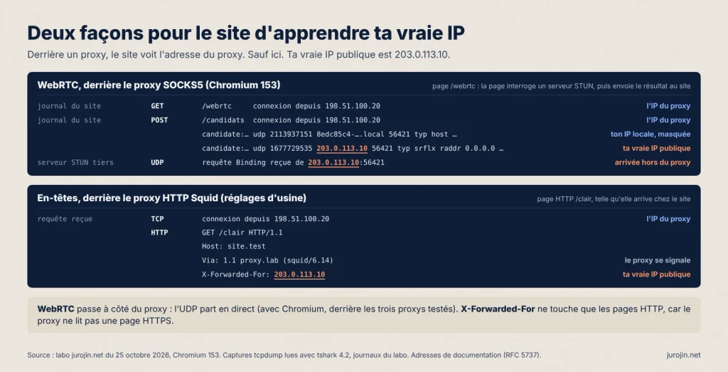 Journal du site de test : avec Chromium derrière un proxy SOCKS5, la page WebRTC renvoie la vraie IP 203.0.113.10, et derrière Squid l'en-tête X-Forwarded-For contient la même adresse