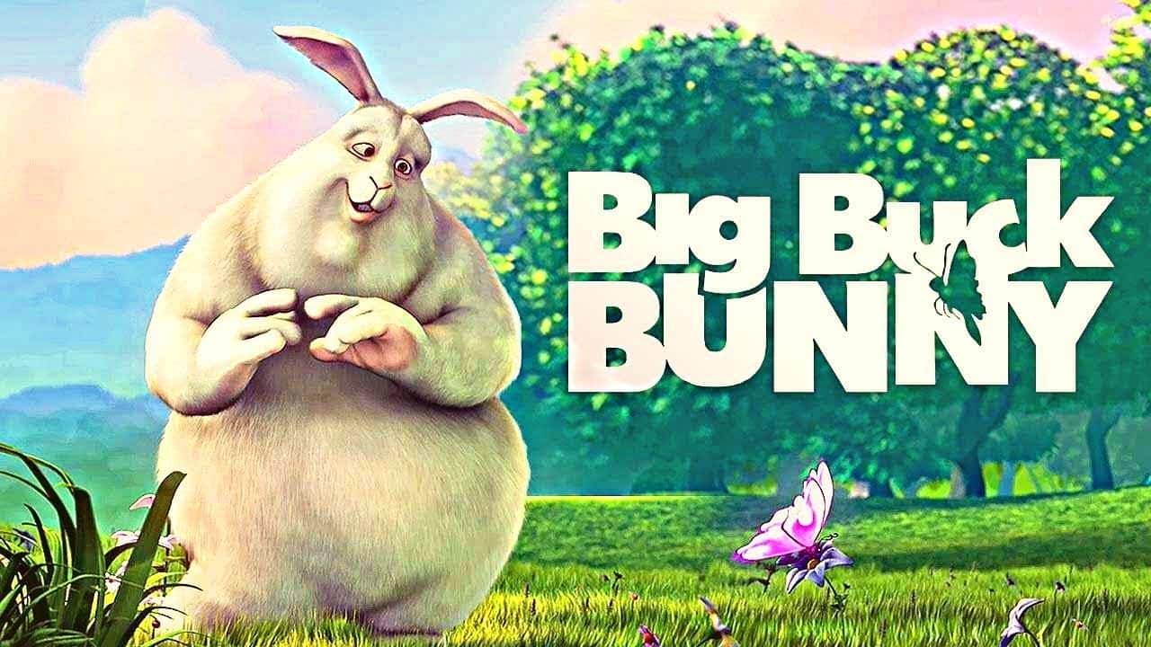 big bunny