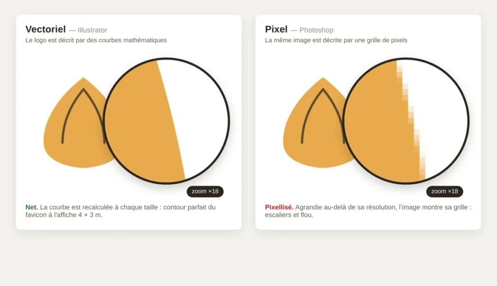  Différence entre vectoriel Illustrator et pixel Photoshop