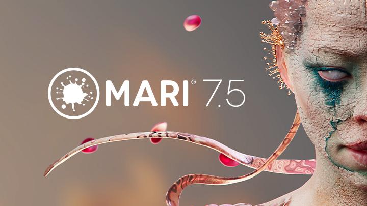 mari foundry