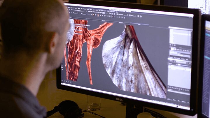 logiciel texturint 3d mari