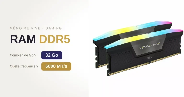 mémoire vivre ram